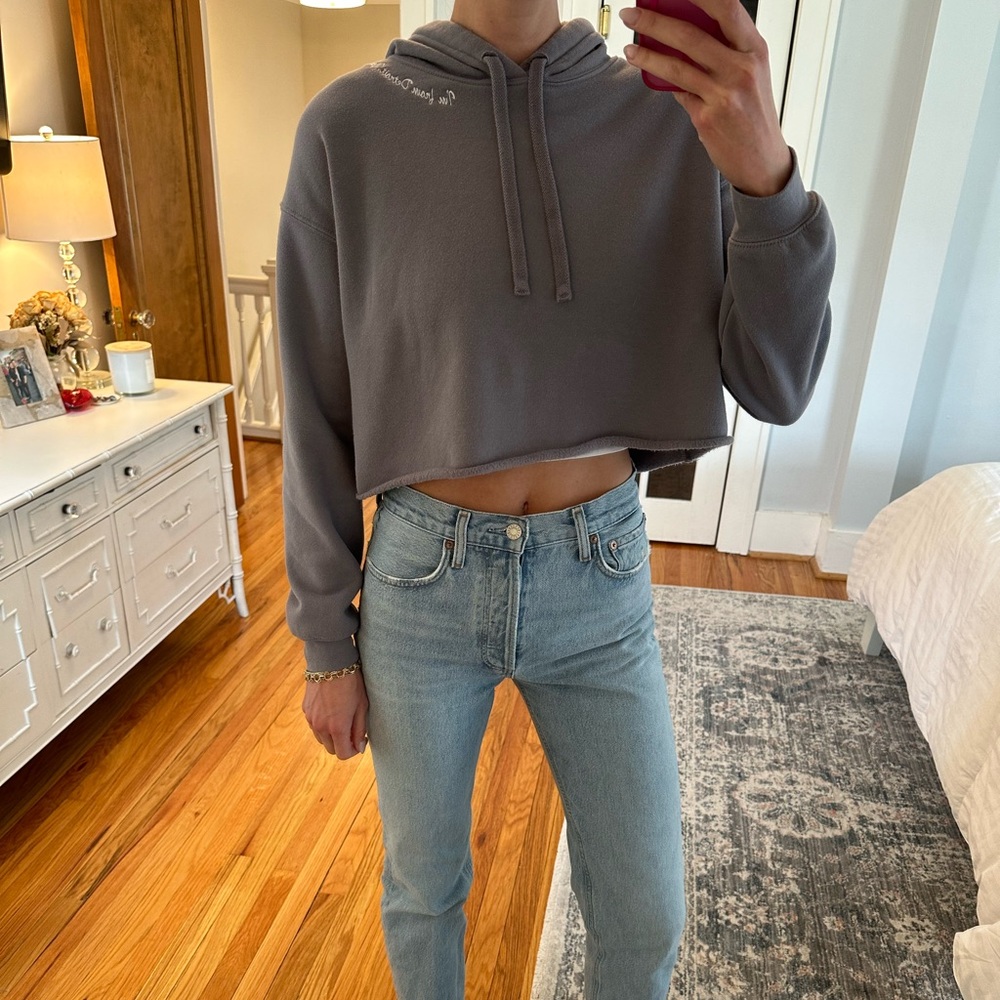 Gray Detroit Cropped Hoodie